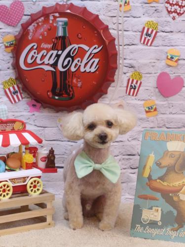 20230902もものすけくん